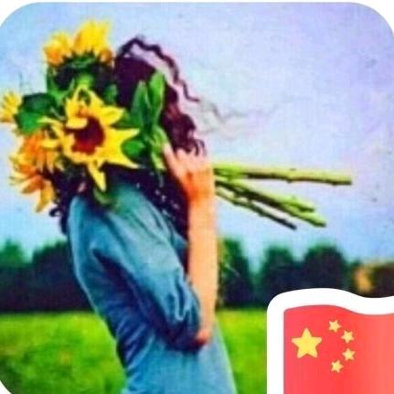 墨蘭