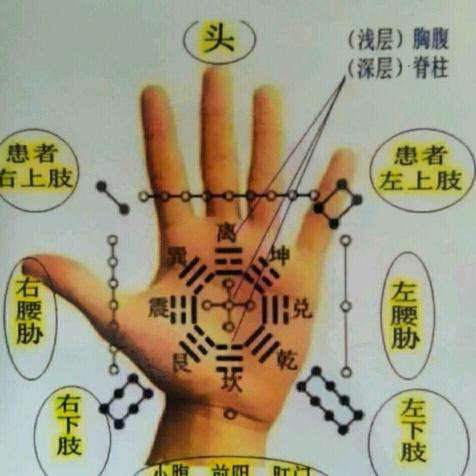 大明刘志宇