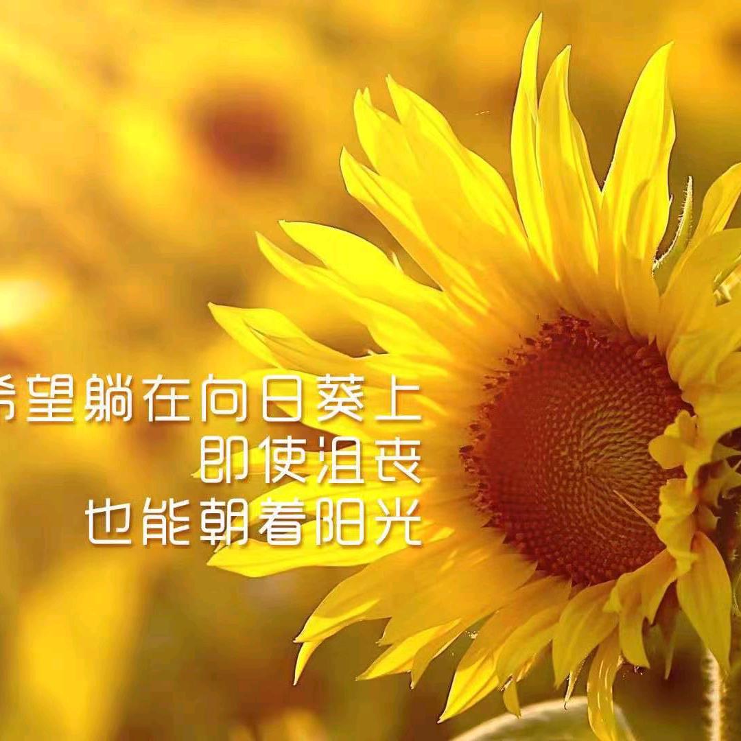 时光漫记
