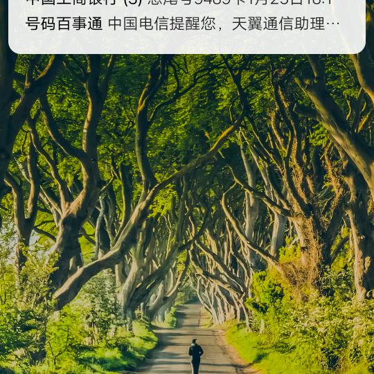 小张