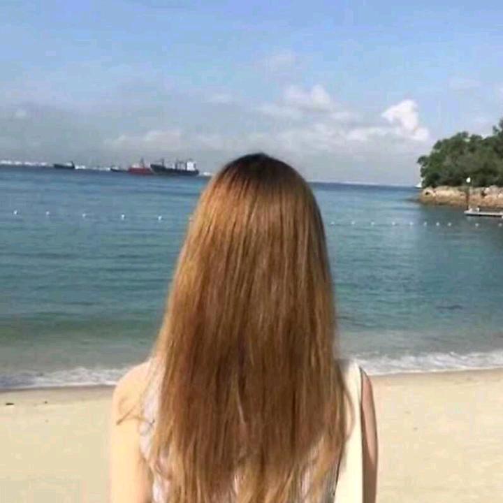 顺其自然🌻