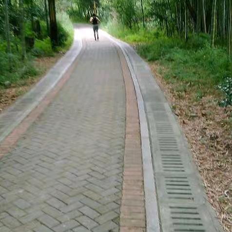 洪新旺