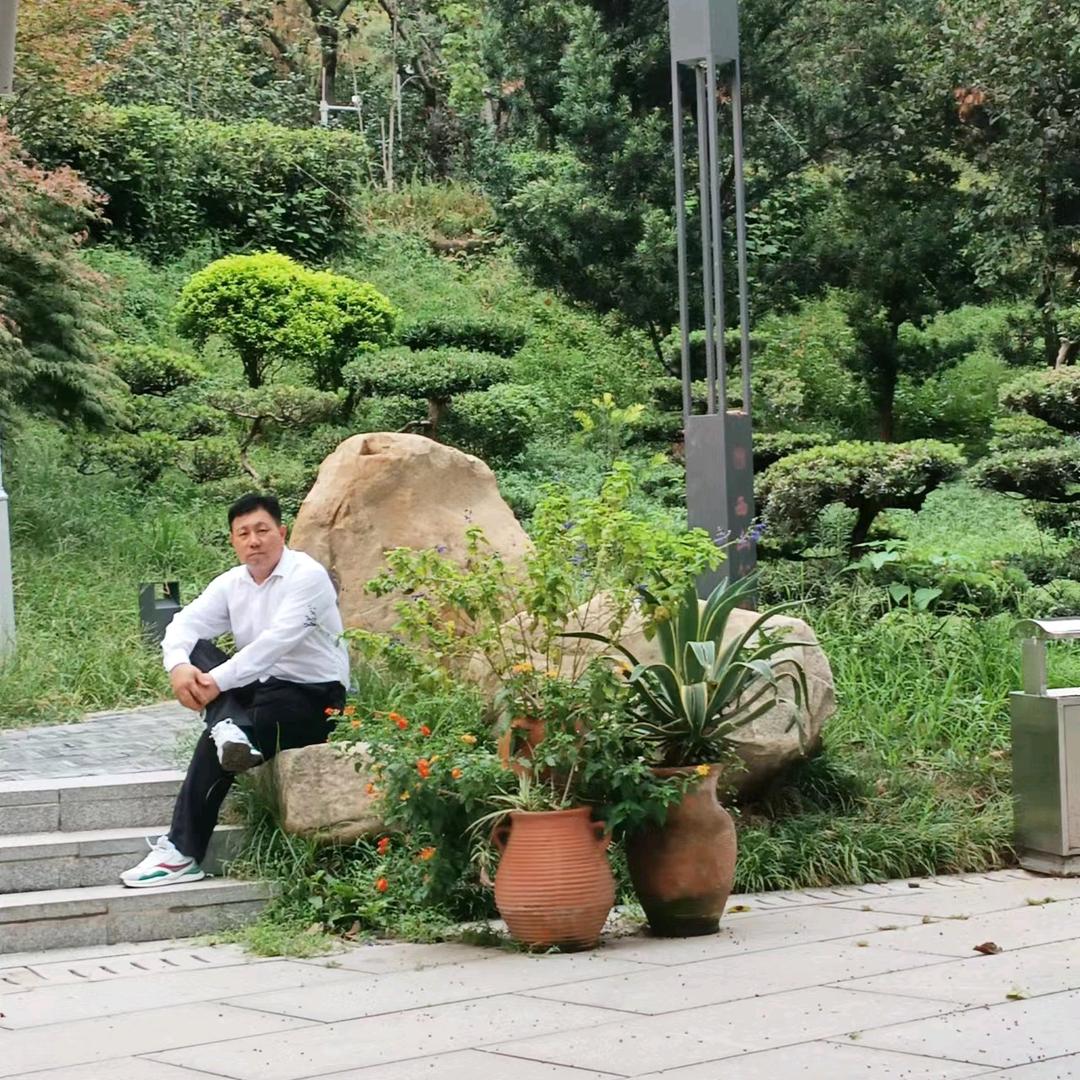 斌哥贴砖