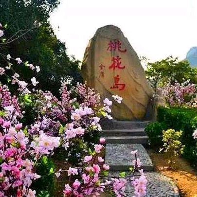 🌸桃花岛主🌸