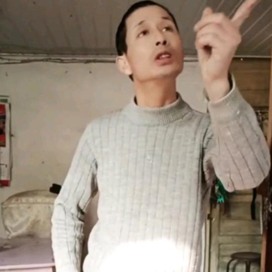 六月荷花