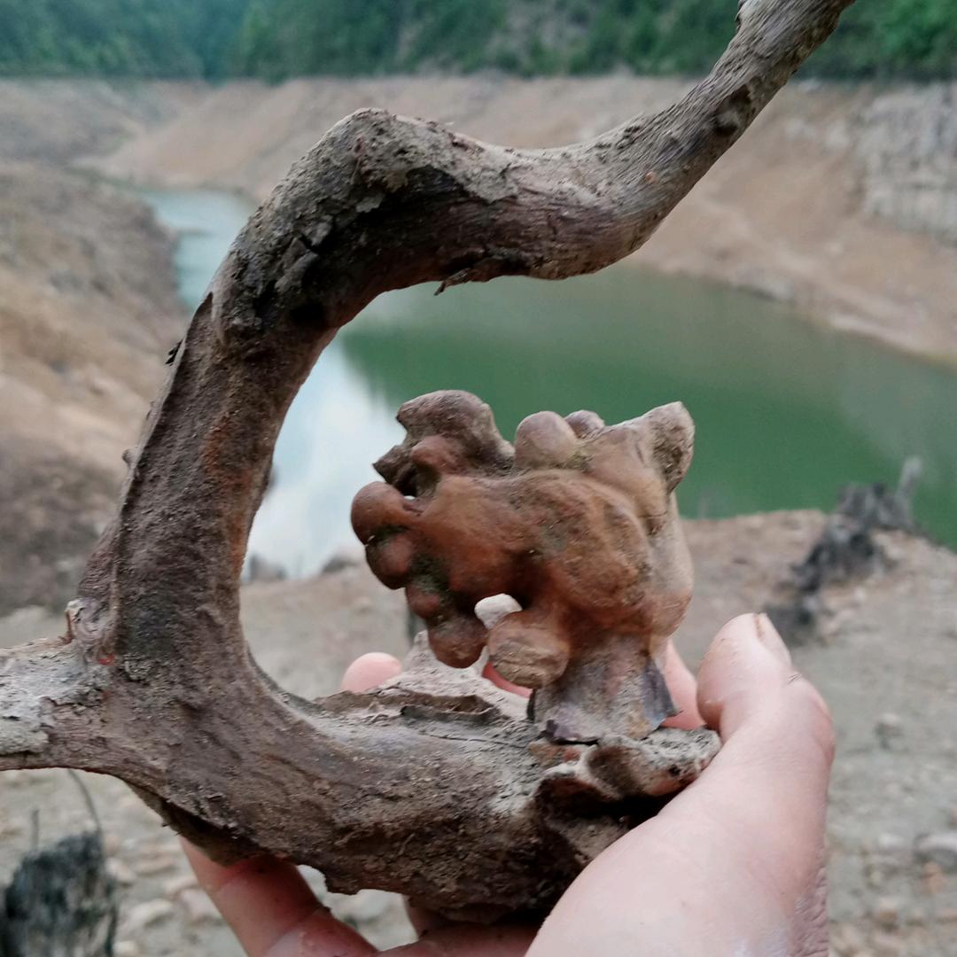 客家传奇亲情友情爱情！感恩天地！人间大爱