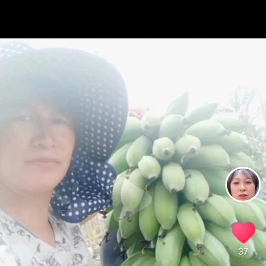 香蕉姐