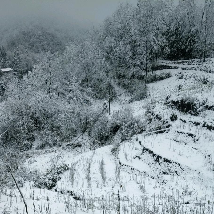 ぎあ凤吟³√“”