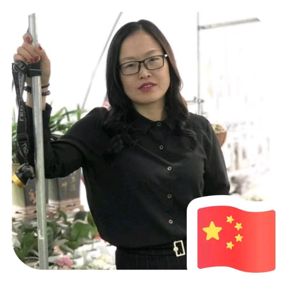 娜丽花卉店