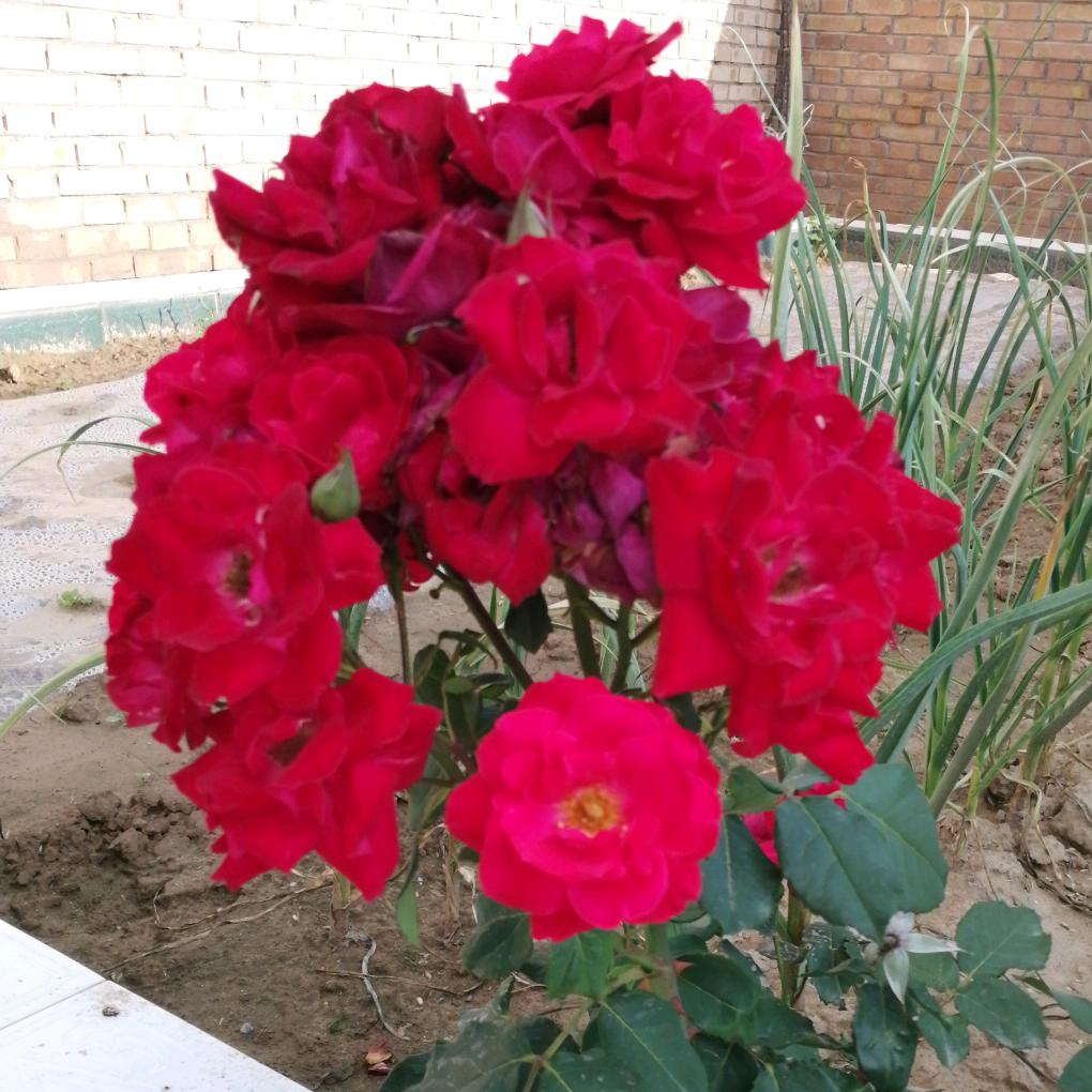 有你很幸福_240798449