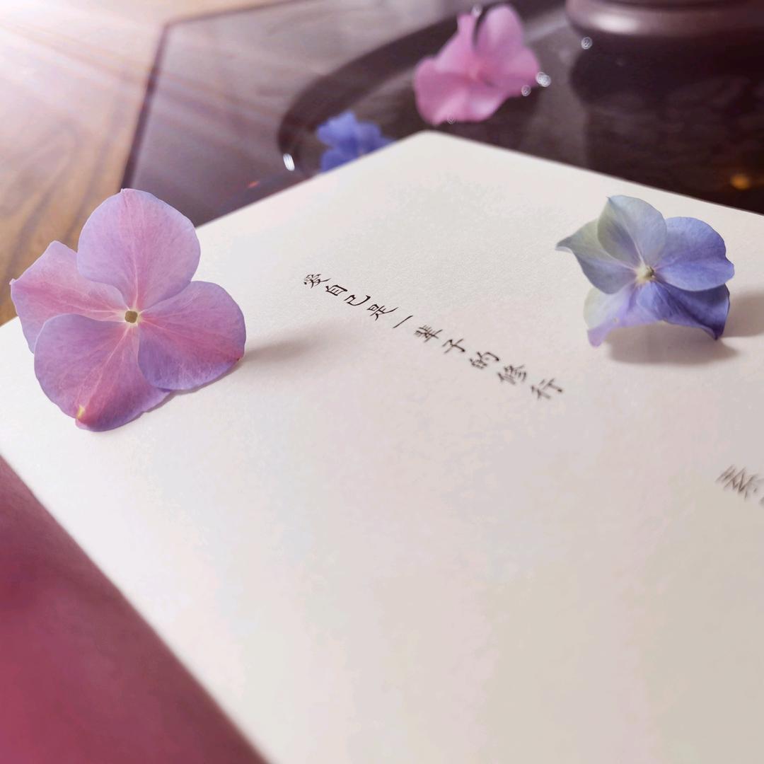 白大师  东营东城店