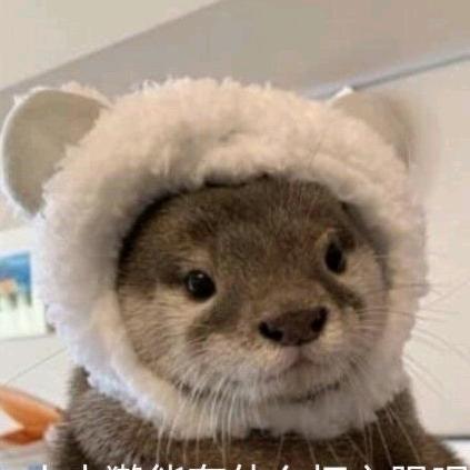 水獭菌