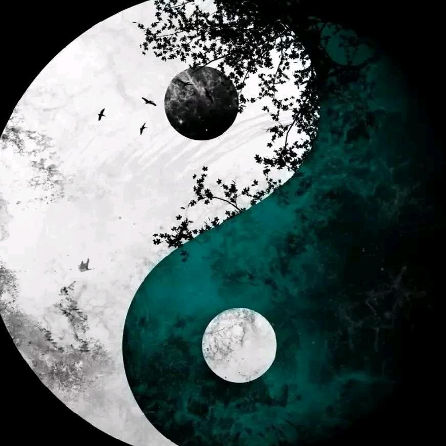 堇缃