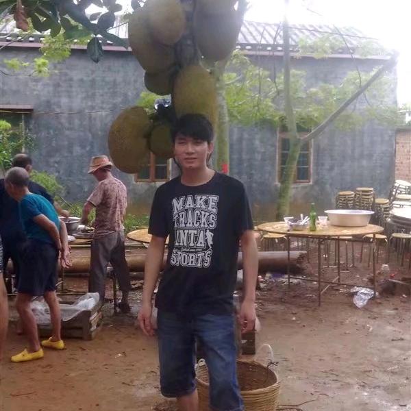 蚊仔