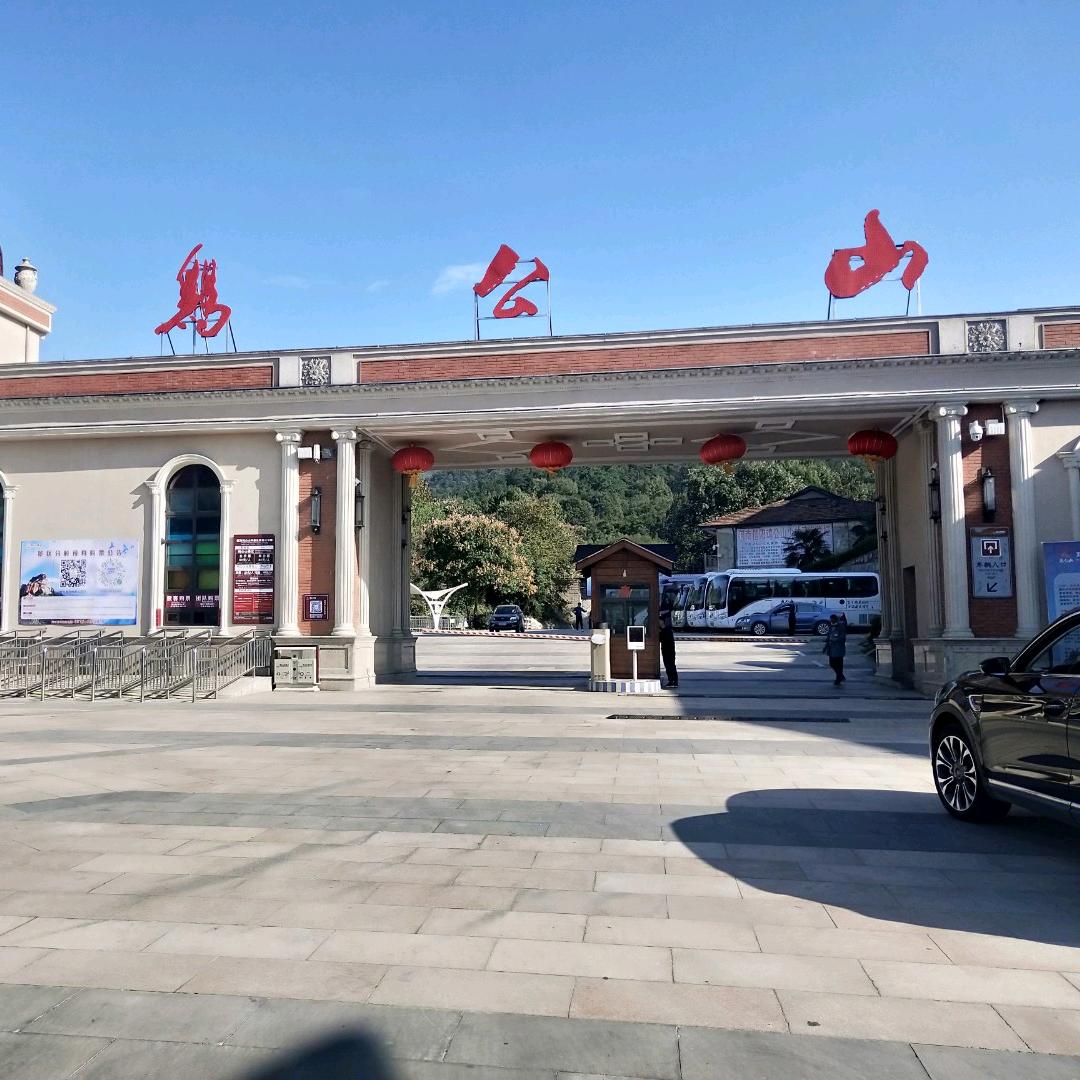 专业正骨