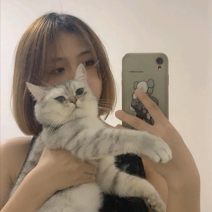 汤圆是只猫a