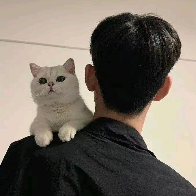 颜玉