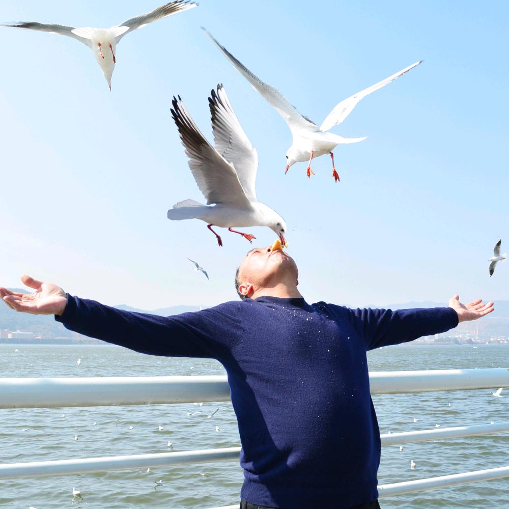 个个香核桃馍—鸡哥