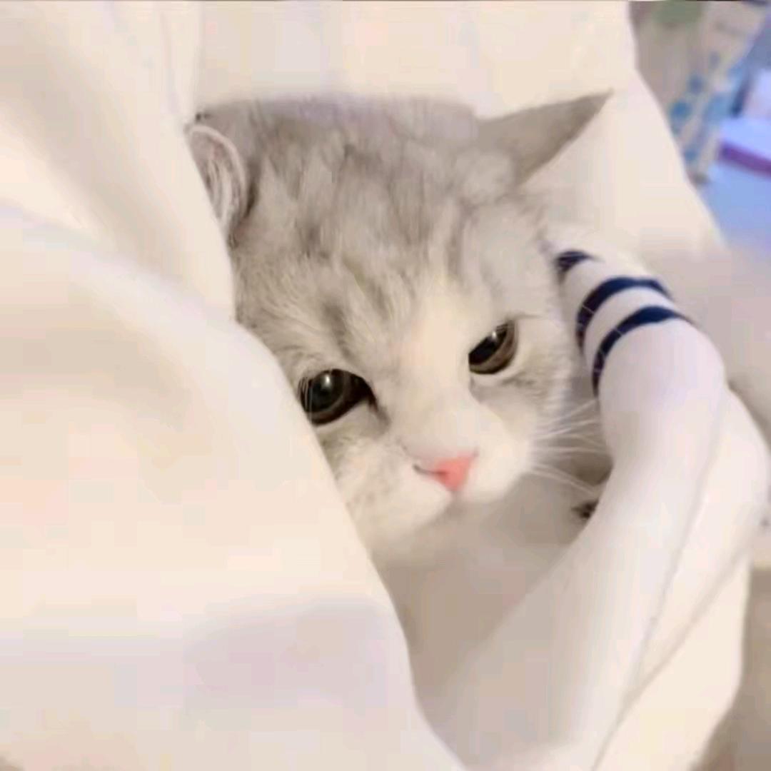 艾瑞巴蒂