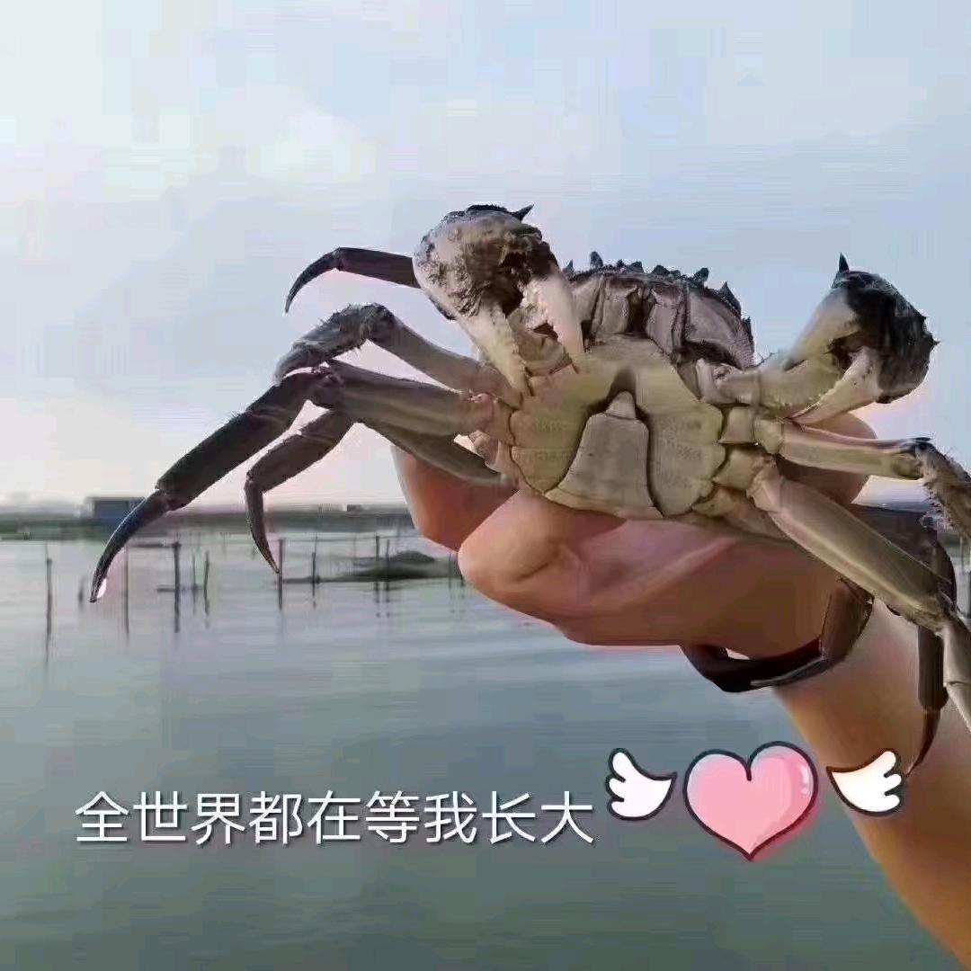 小辉水产