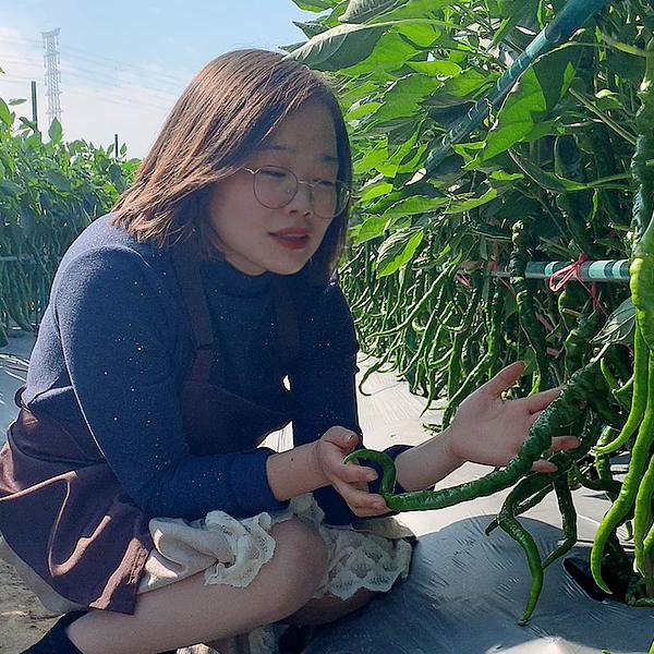 种菜记小邱