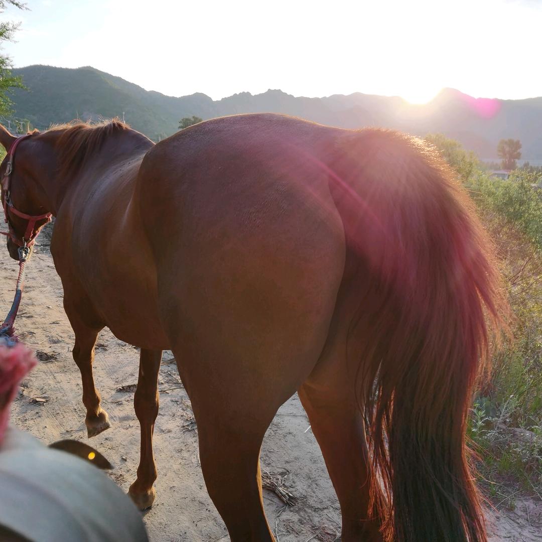 步行万里国学讲堂