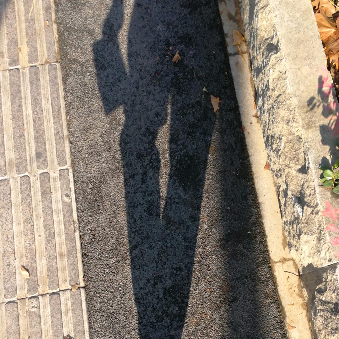 Mr .  L