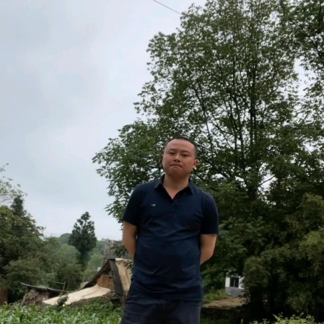 绝尘