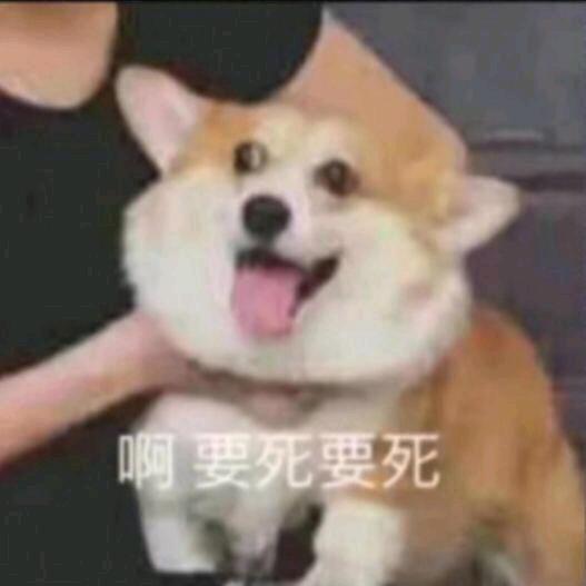 熙