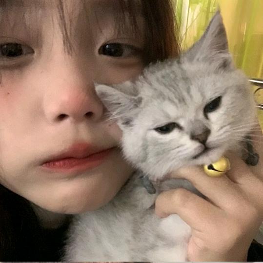 嘉佳贾_