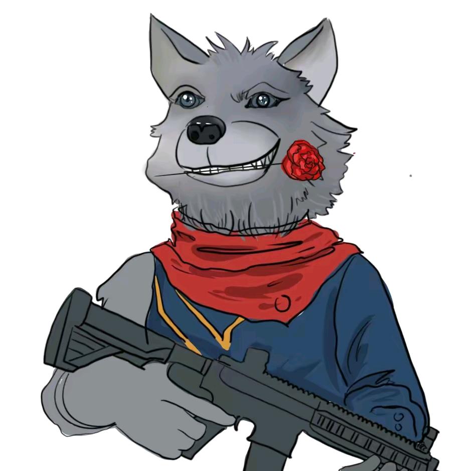 小张小张从不慌张