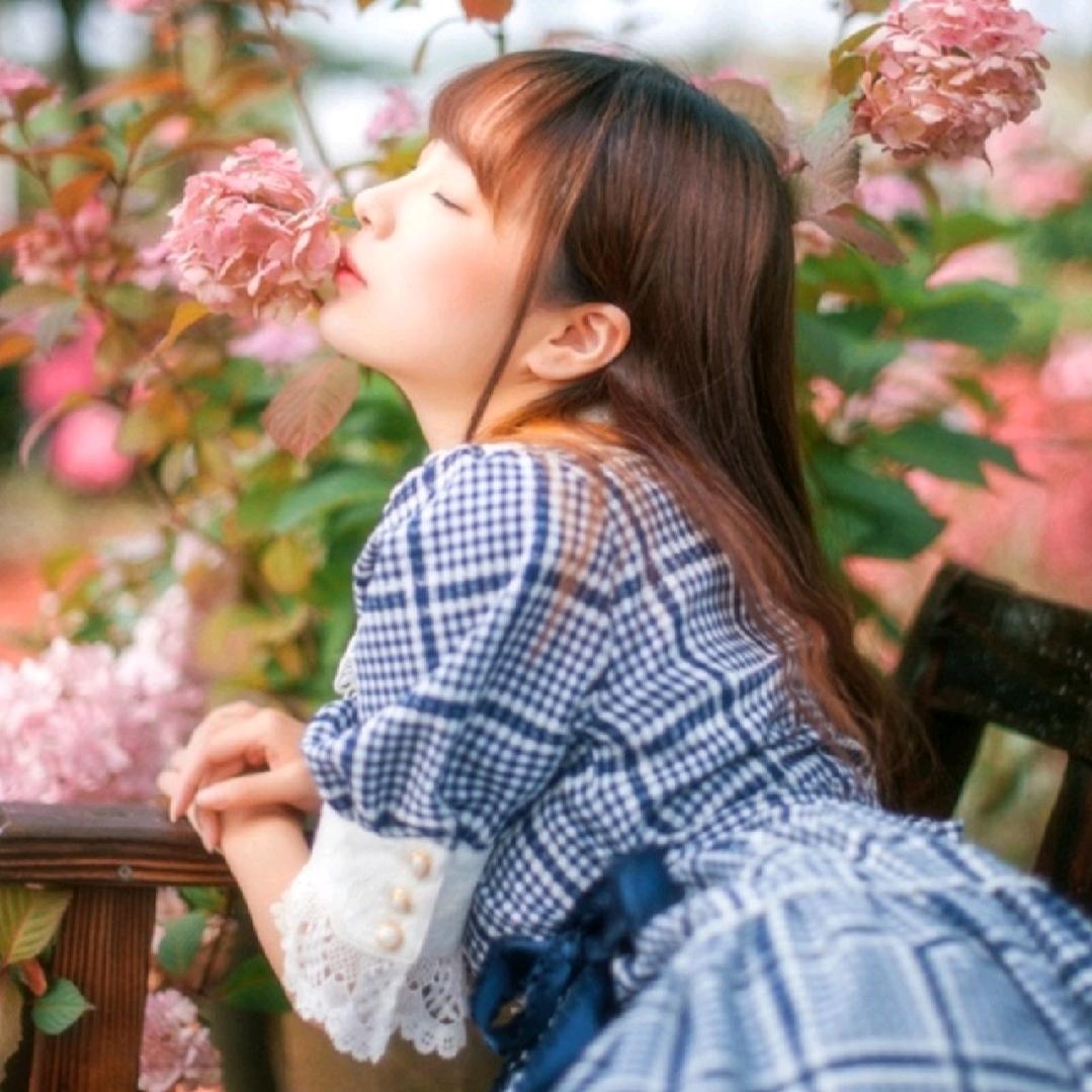分享糖糖