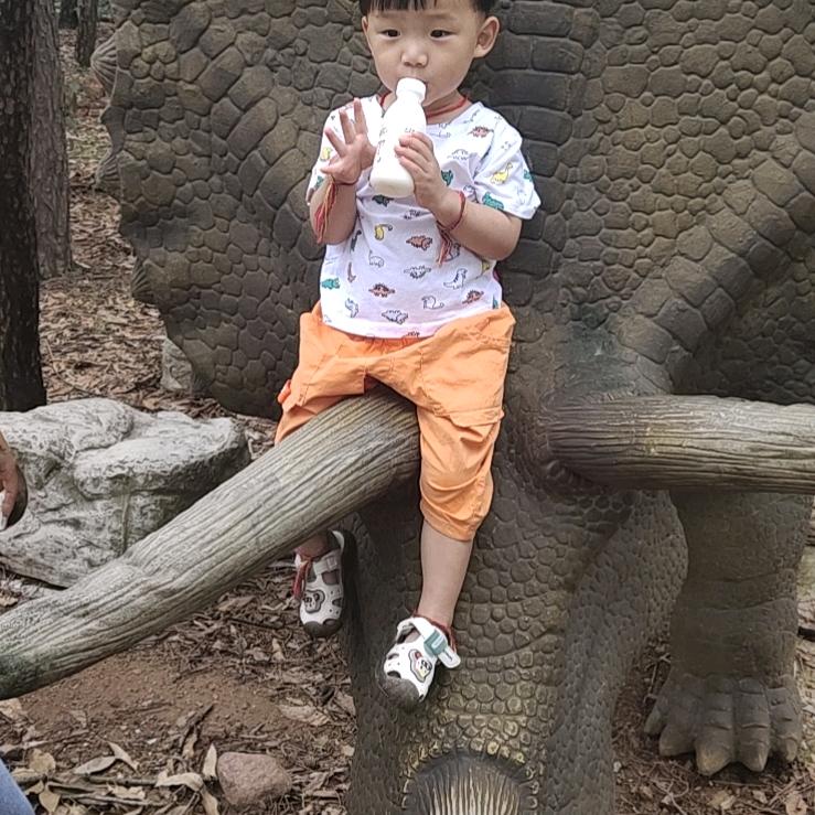 小侍