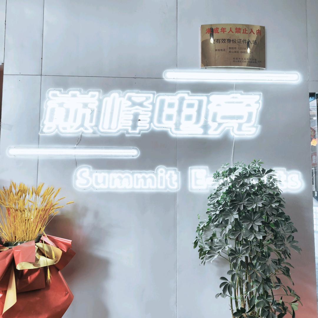 巅峰网咖