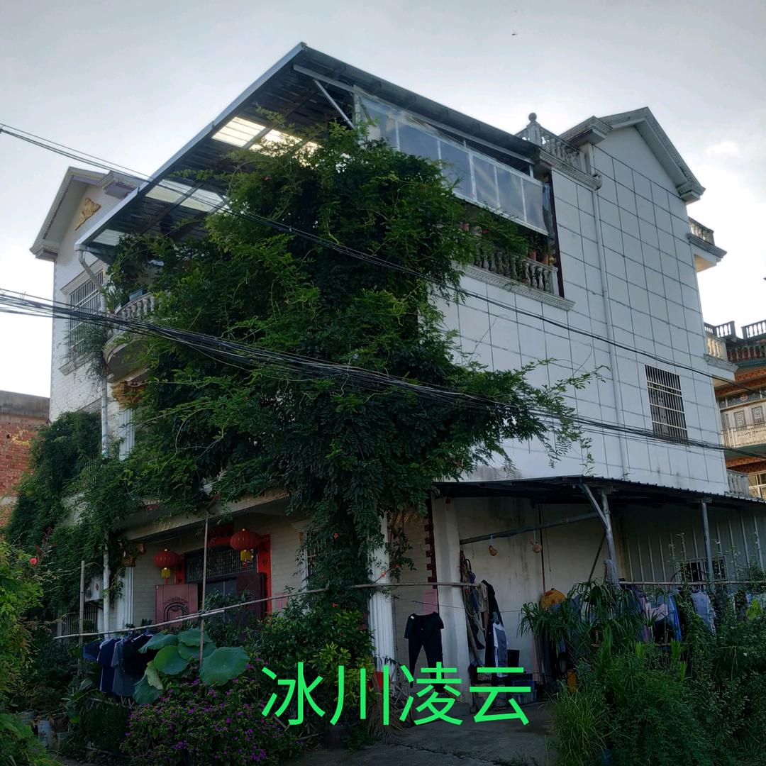 江山之娇