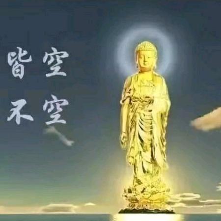 随心所欲