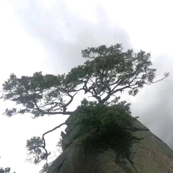山水之乐