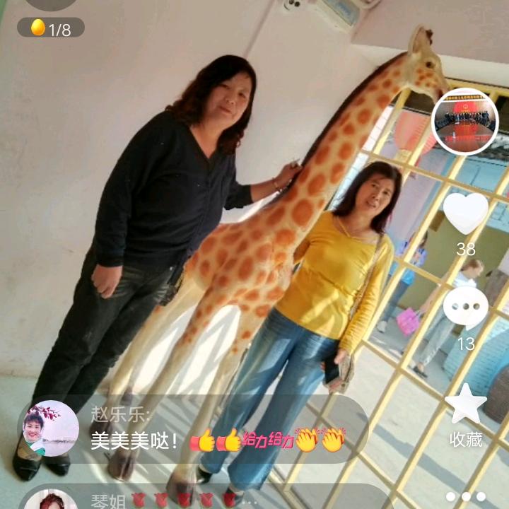 月亮姐
