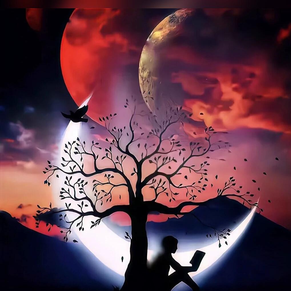 冥羽✺◟(∗❛ัᴗ❛ั∗)◞✺魂殇