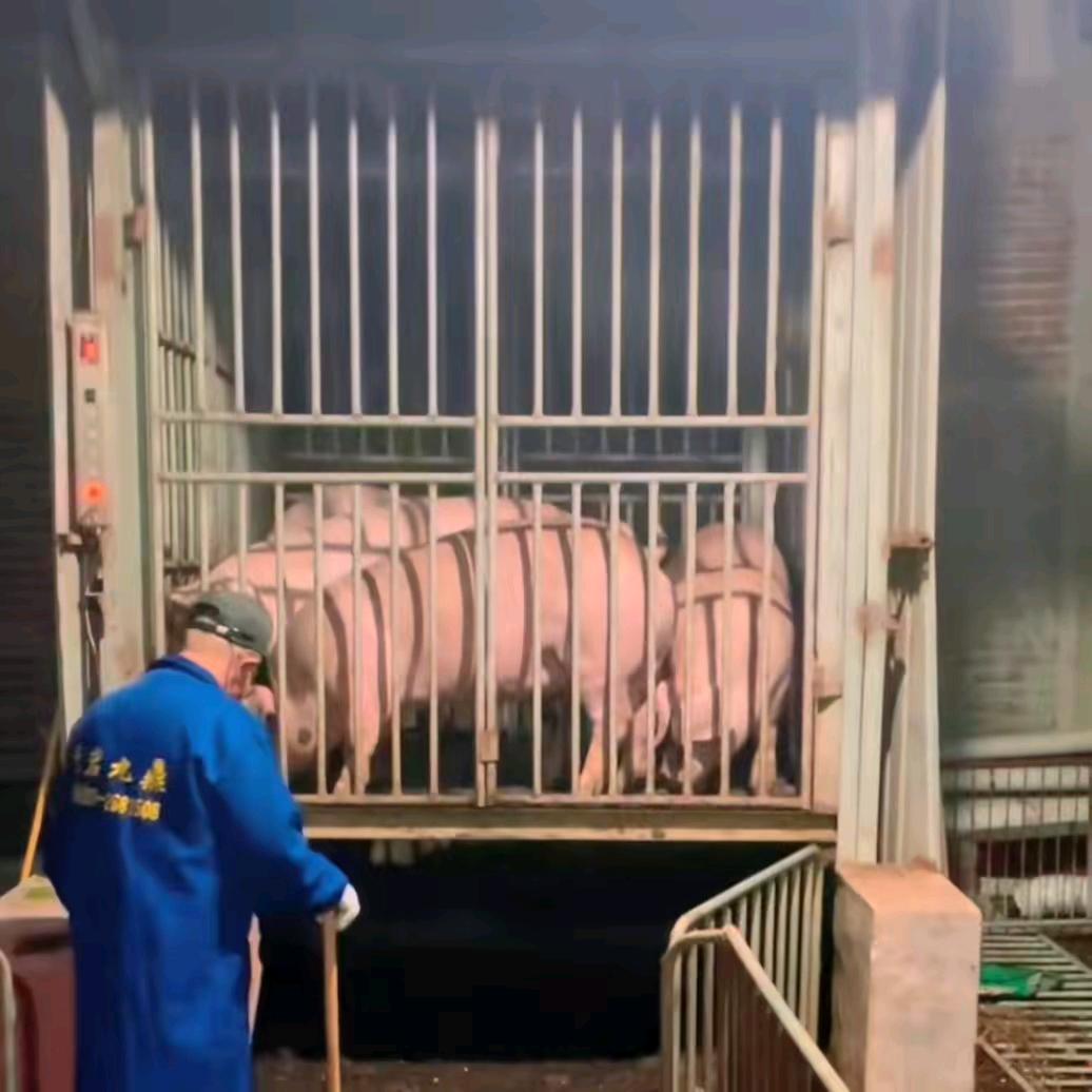 千牧源✔小张