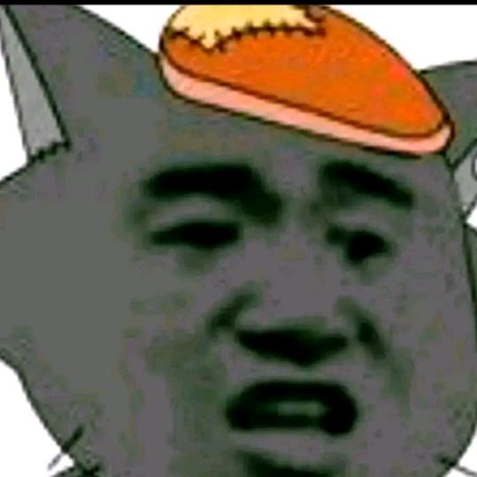 重庆崽儿🇨🇳🇨🇳🇨🇳