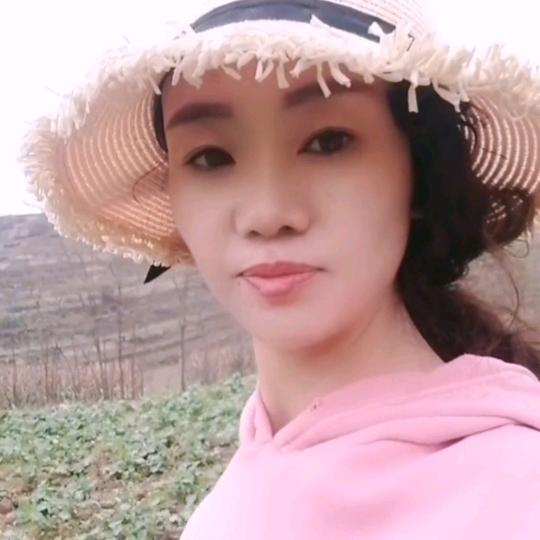 太阳花🌸〈拒绝连赞〉