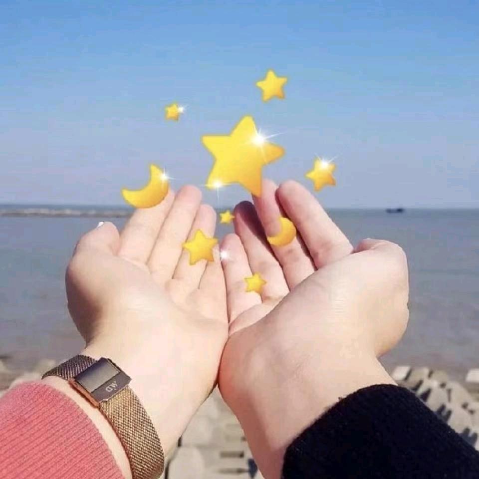 精品蟹，赵