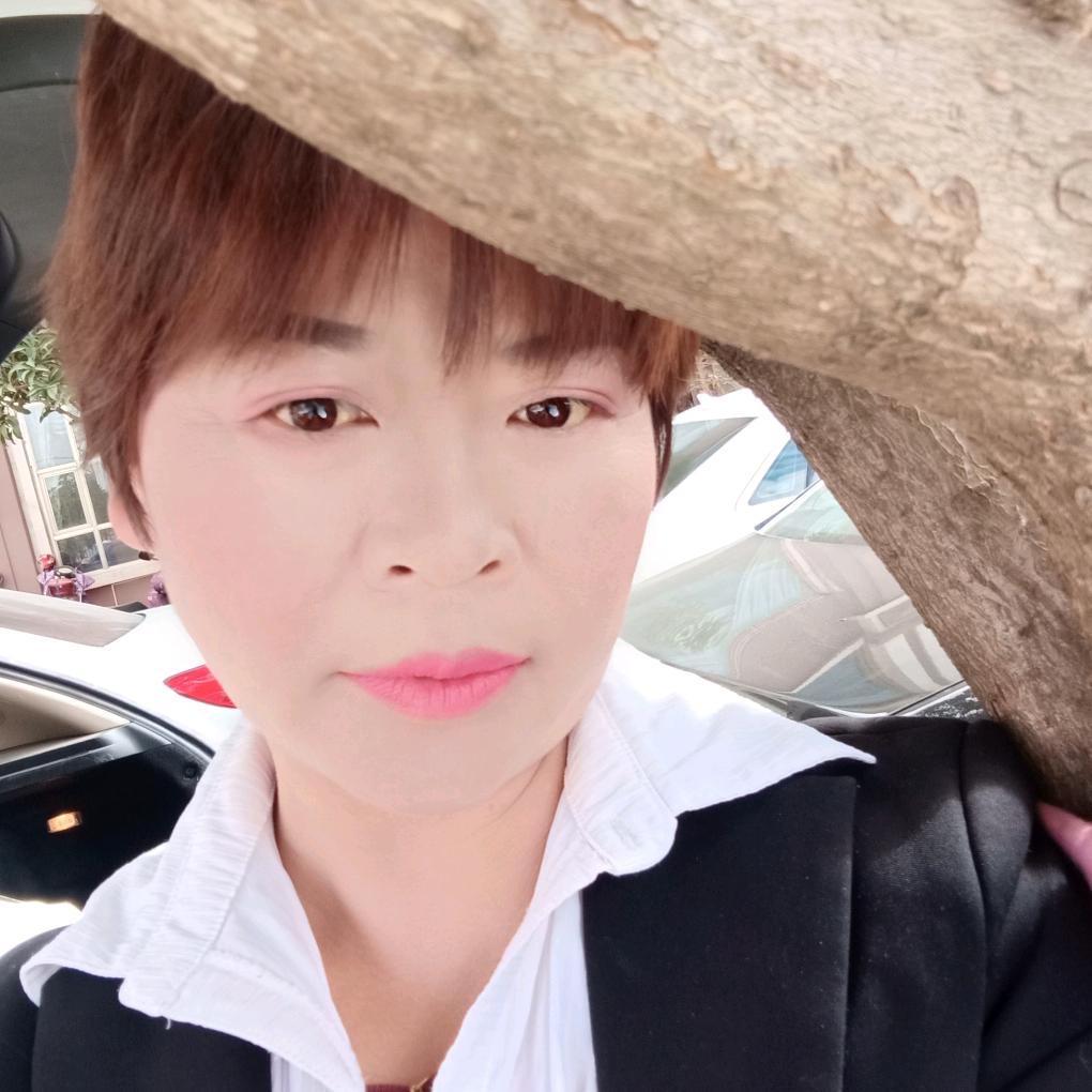 🍁🌜放下🌛🍁