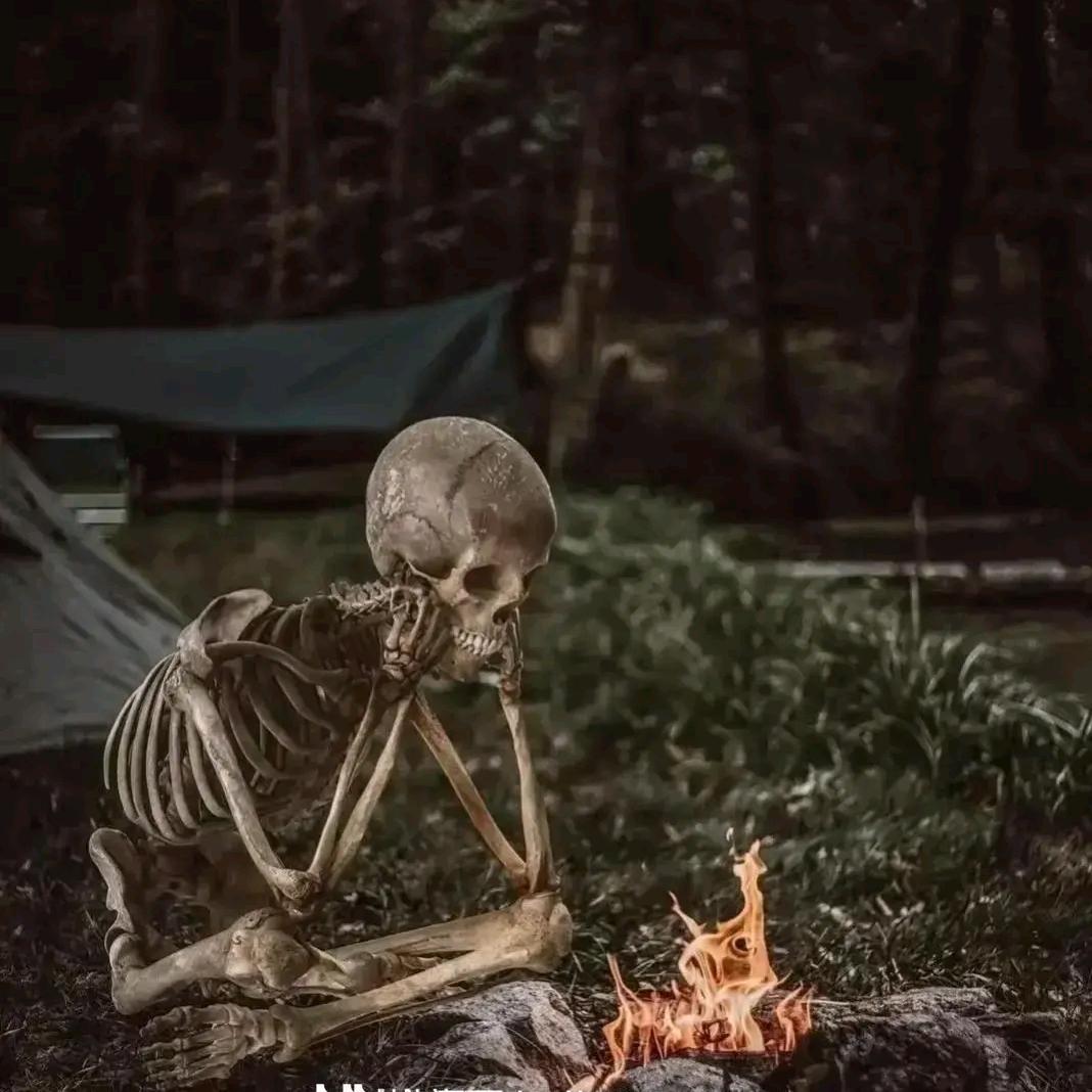 缘分 💀 🏹🐇🏹