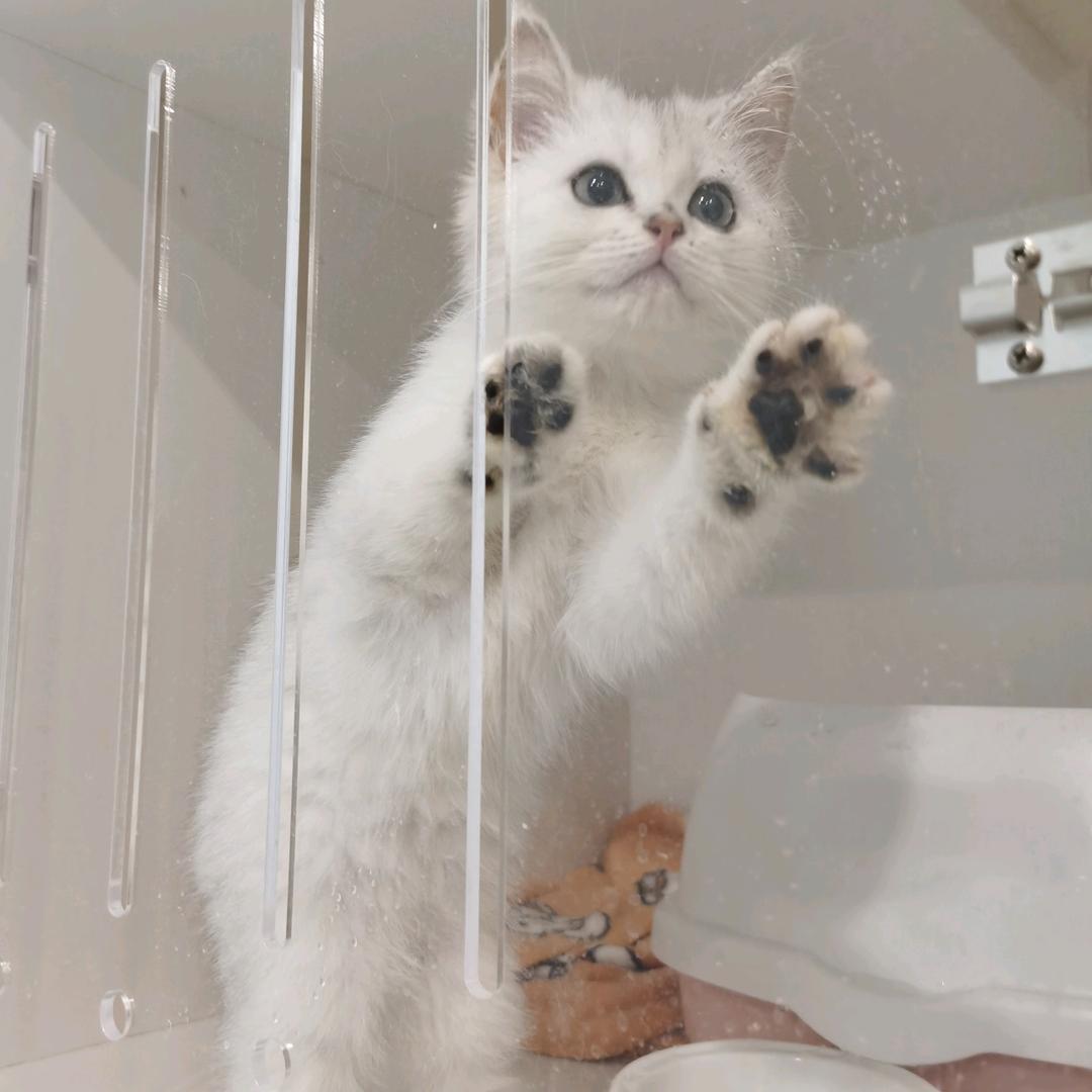 丁优秀darkanddarker