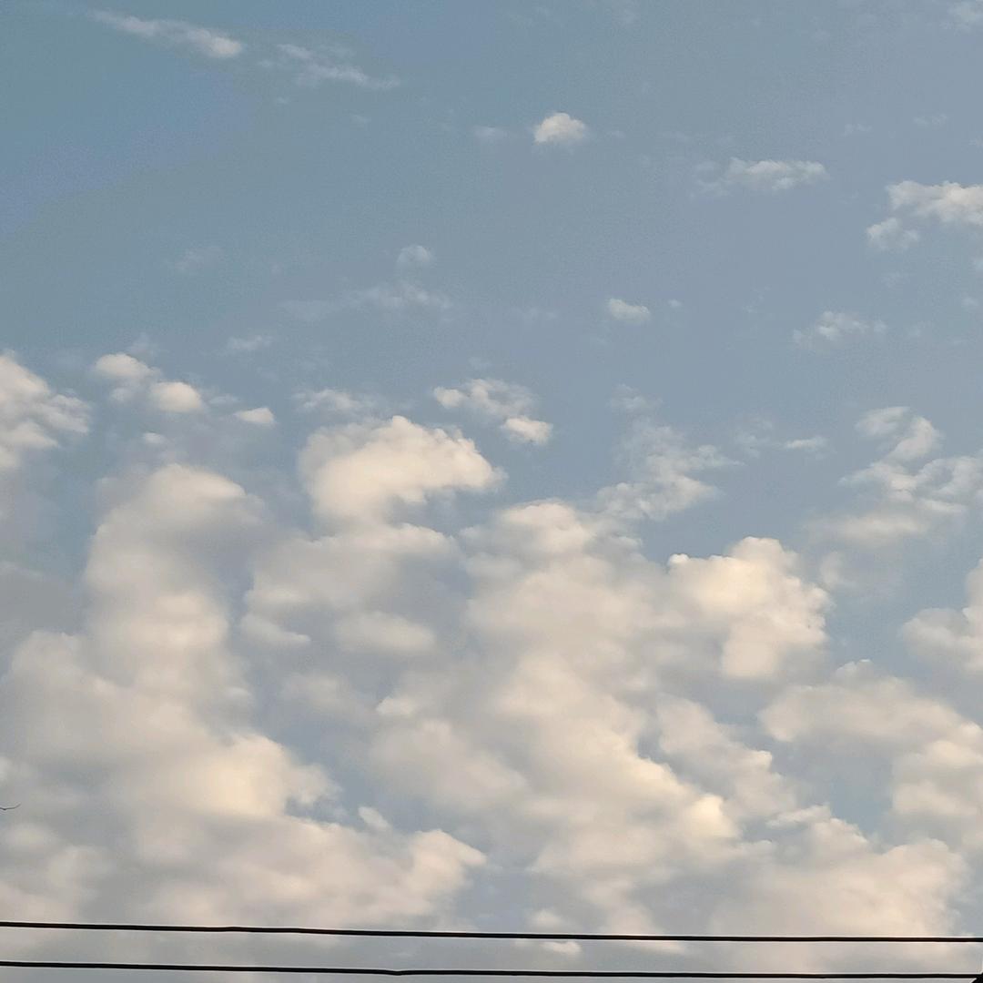 一曲高歌满樽酒