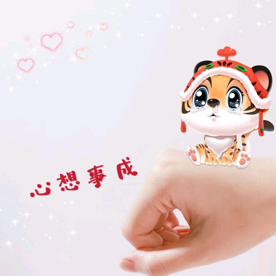 haoyun520