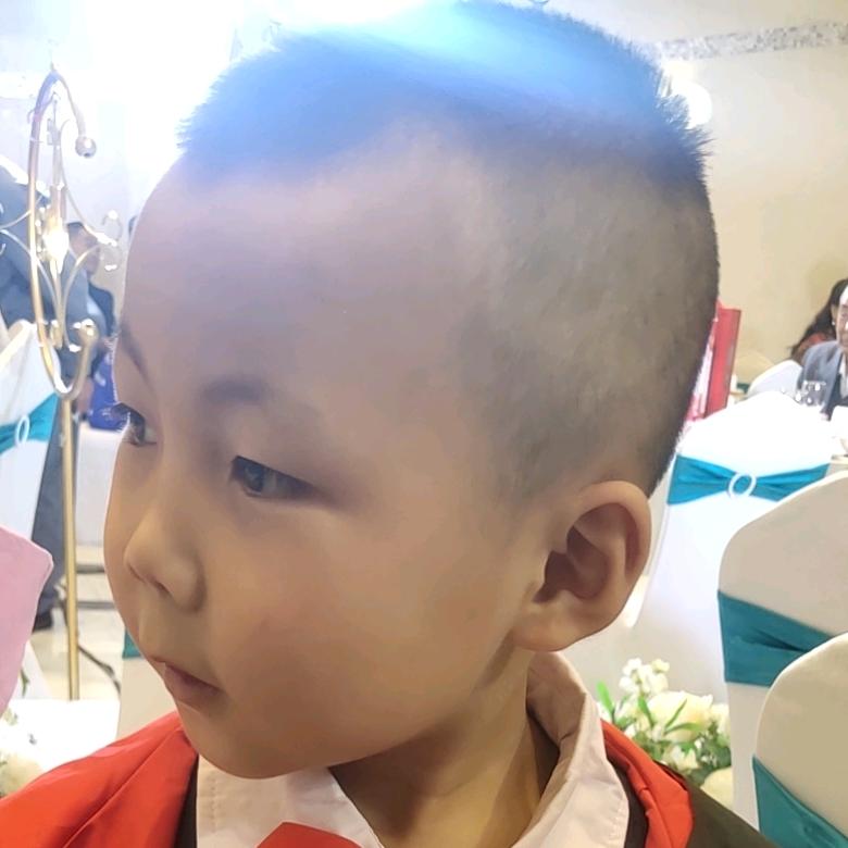 中卫市擀面皮批发零售