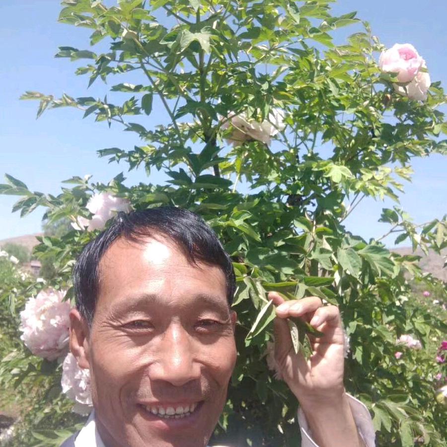 人品格局